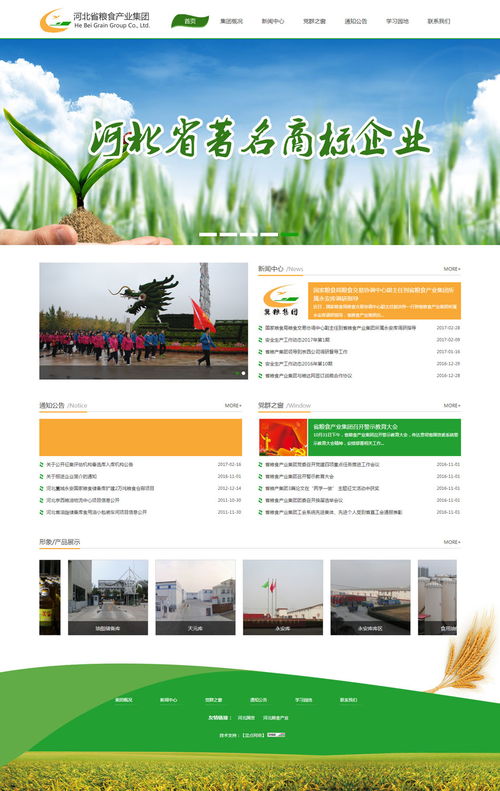 河北省糧食產業集團與政府、協會攜手推動石家莊網站建設與開發